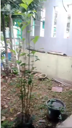 Dijual Rumah di Kancil Jababeka